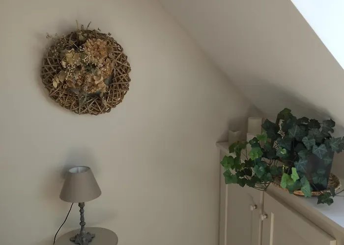 Bed & Breakfast Le Clos Des Mouettes Calais